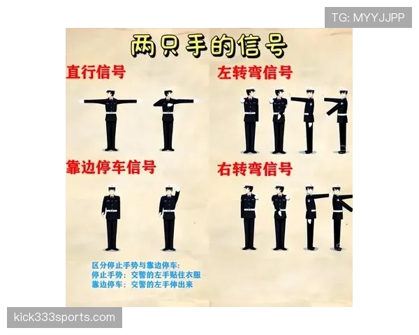 裁判手势详解：常见信号及其对应判罚规则